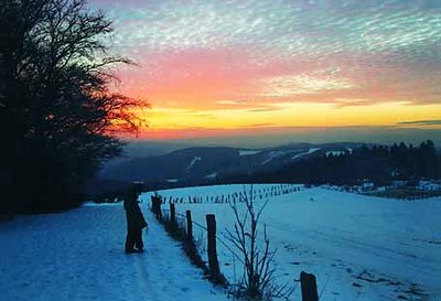 Wildewiese im Spätsommer